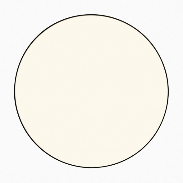 Потолочный светодиодный светильник Citilux Bart CL755391