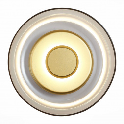 Настенный светодиодный светильник ST Luce Lazio SL6002.201.01