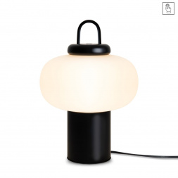 Настольная лампа Freya Take FR6175TL-L10B