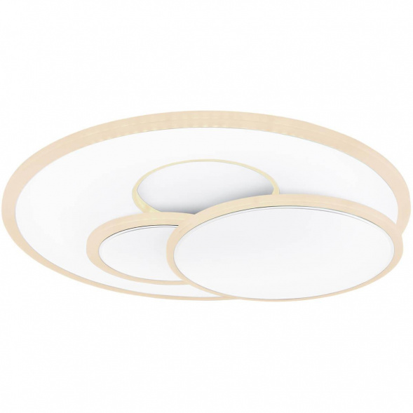 Потолочный светодиодный светильник Globo Tarabina 48279-48