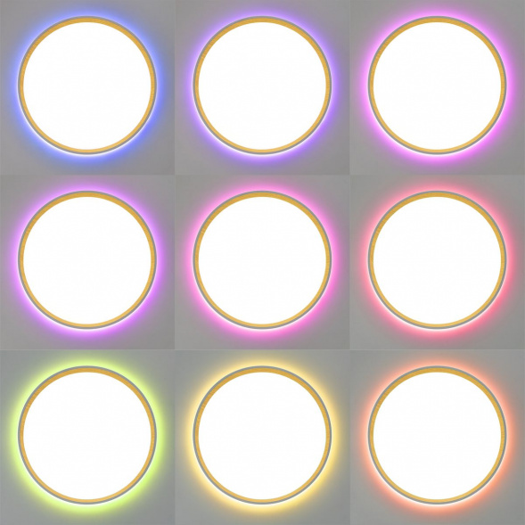 Потолочный светодиодный светильник Citilux Etalon CL750320R