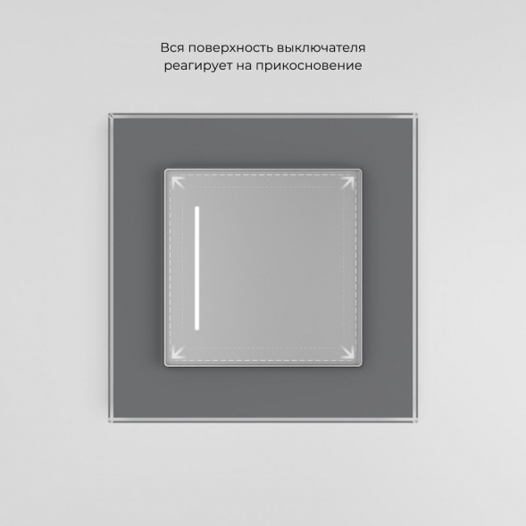 Сенсорный выключатель одноклавишный Werkel с подсветкой серебряный W4513006 4690389197901