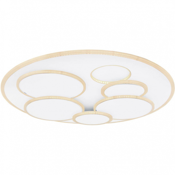 Потолочный светодиодный светильник Globo Tarabina 48279-80