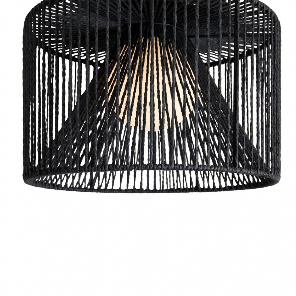 Потолочный светильник Freya Cottage FR5405CL-01B1