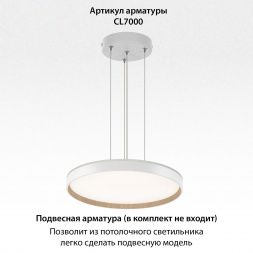 Потолочный светодиодный светильник Citilux Etalon CL750400R