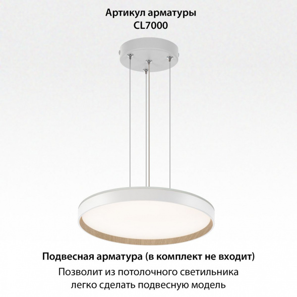 Потолочный светодиодный светильник Citilux Etalon CL750400R