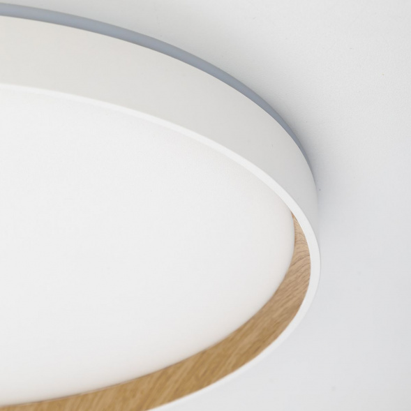 Потолочный светодиодный светильник Citilux Etalon CL750400R