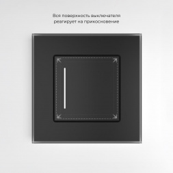 Сенсорный выключатель одноклавишный Werkel с подсветкой черный W4513008 4690389197918