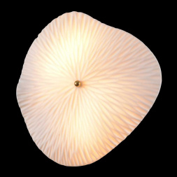 Настенный светильник Crystal Lux CONTESSA AP2.2