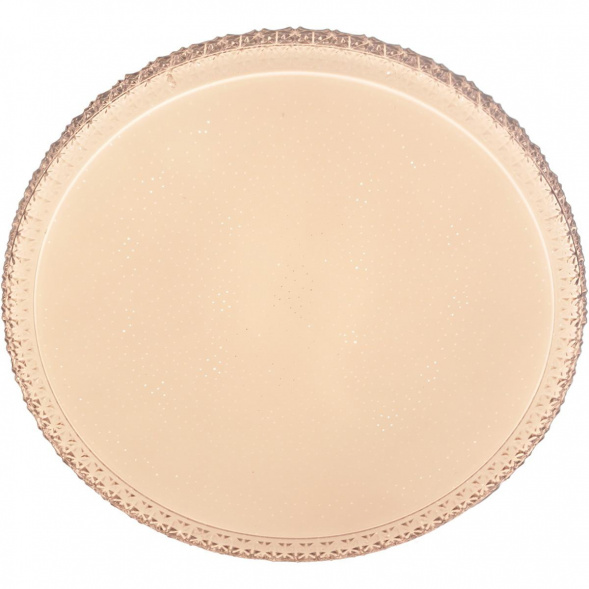 Потолочный светильник Reluce 01926-9.2-60W*2