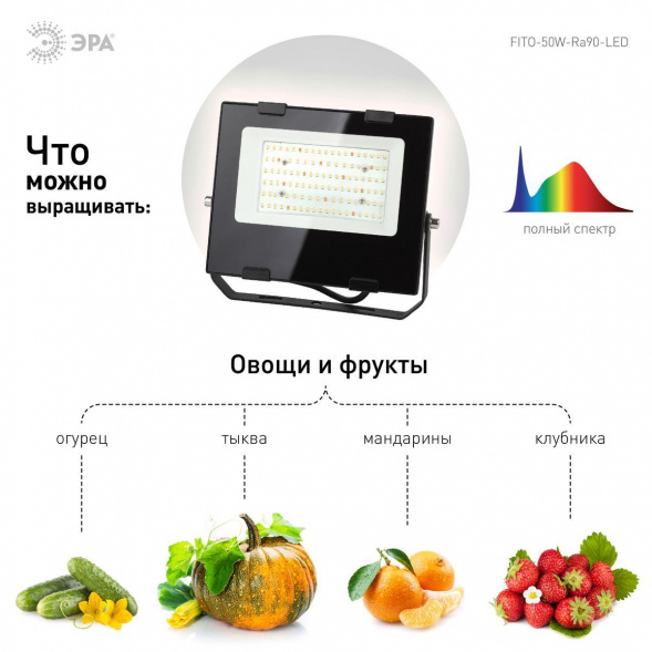 Прожектор светодиодный для растений ЭРА Fito-50W-Ra90-Led Б0047875