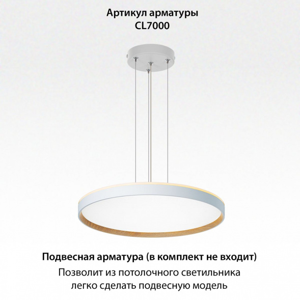 Потолочный светодиодный светильник Citilux Etalon CL750500R