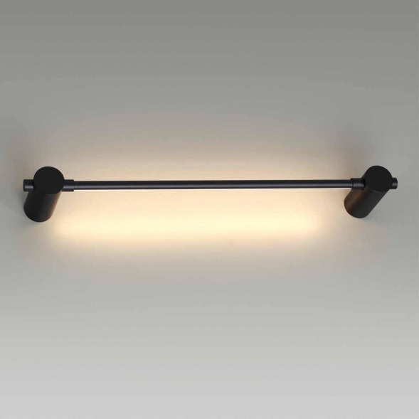 Настенный светодиодный светильник Odeon Light Dalia 4395/6WL