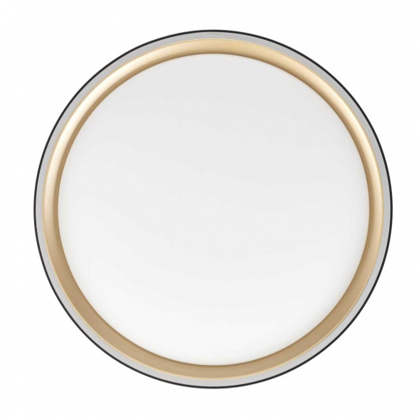 Потолочный светодиодный светильник Citilux Boss CL751251G