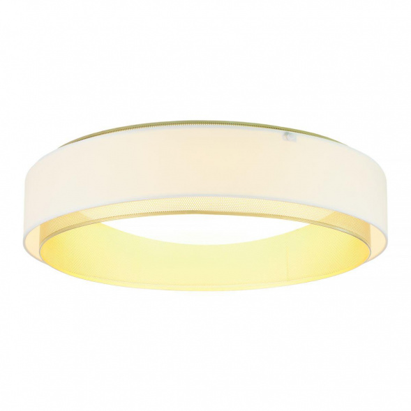 Потолочный светодиодный светильник MyFar Anders MR2371-1CL