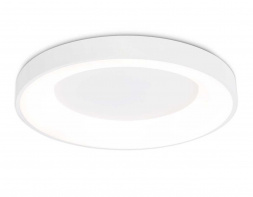 Потолочный светодиодный светильник Ambrella light Orbital Design FZ1401