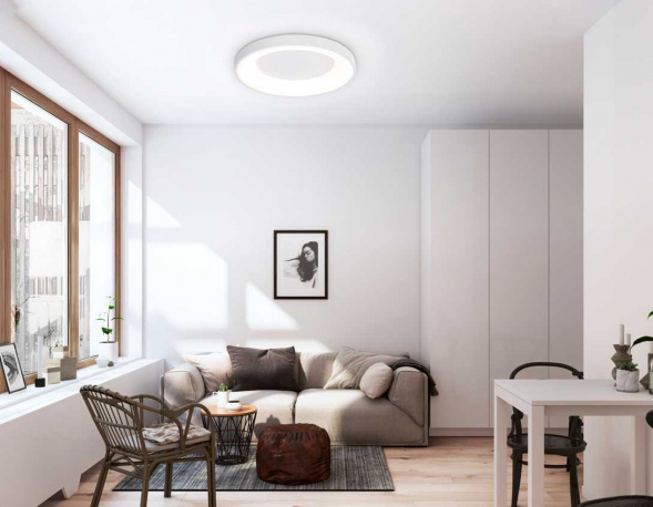 Потолочный светодиодный светильник Ambrella light Orbital Design FZ1401