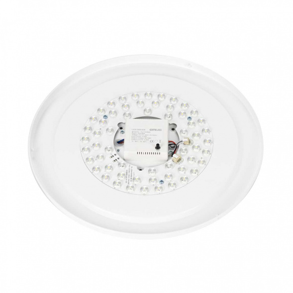 Потолочный светодиодный светильник Citilux Boss CL751351G