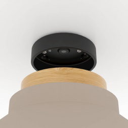 Потолочный светильник Eglo Moharras 900736