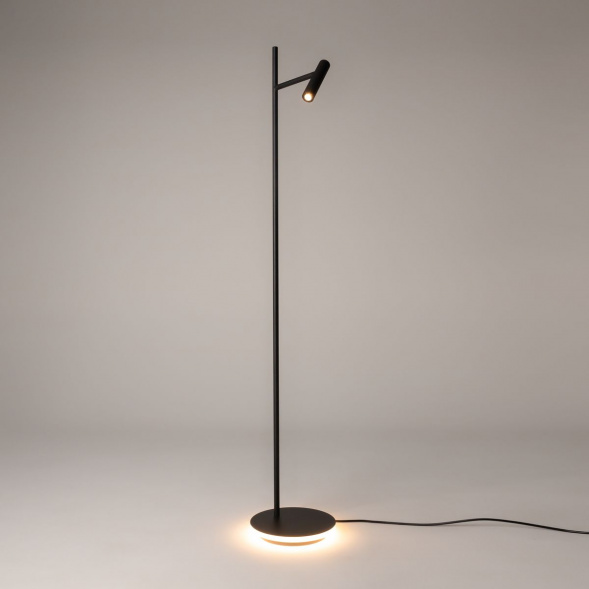 Торшер Maytoni Estudo Z010FL-L8B3K