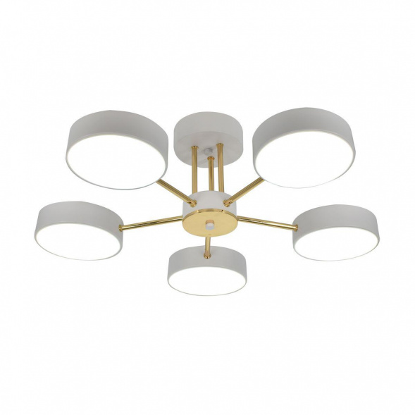 Потолочная светодиодная люстра Escada Rune 10262/5LED