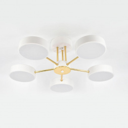 Потолочная светодиодная люстра Escada Rune 10262/5LED