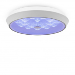 Потолочный светодиодный светильник Freya Cells FR10012CL-L24W