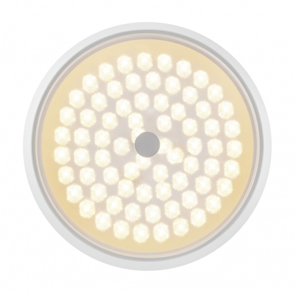 Потолочный светодиодный светильник Freya Cells FR10012CL-L24W