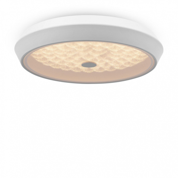 Потолочный светодиодный светильник Freya Cells FR10012CL-L24W