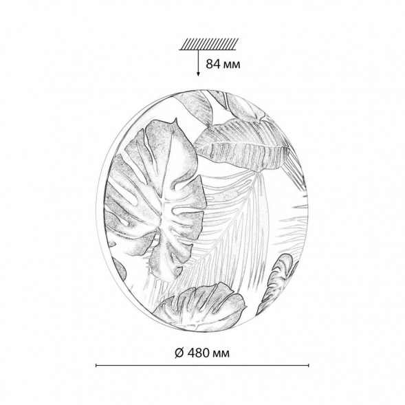 Настенно-потолочный светодиодный светильник Sonex Pale Flori 7748/EL