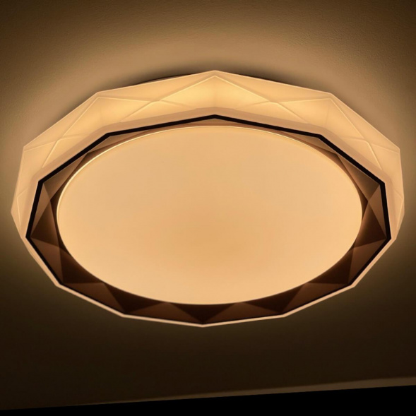 Потолочный светодиодный светильник Profit Light 2070/450 WH+CR