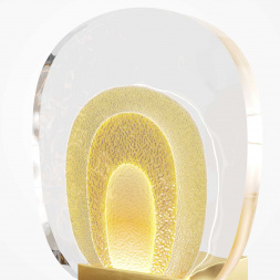 Бра Maytoni Modern Biology MOD367WL-L3BSK