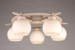 Потолочная люстра Omnilux OML-50517-05