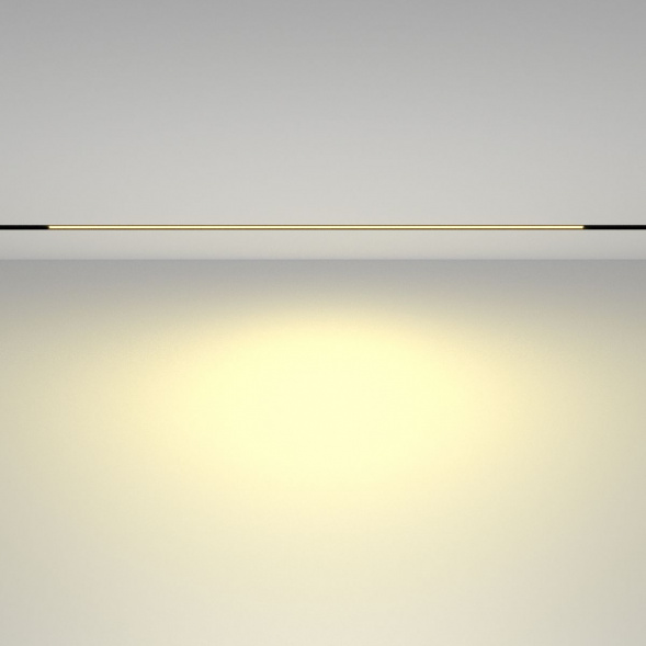 Трековый светодиодный светильник Maytoni Technical Basis TR030-2-30W2.7K-B