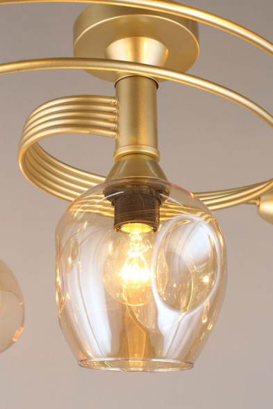 Потолочная люстра Aployt Flor APL.611.07.06