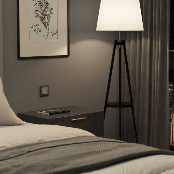 Выключатель двухклавишный проходной с подсветкой Werkel серебряный матовый W1122165 4690389195556