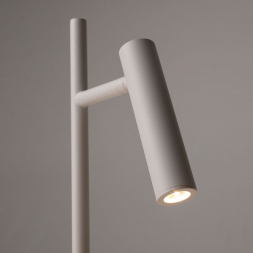 Торшер Maytoni Estudo Z010FL-L8W3K