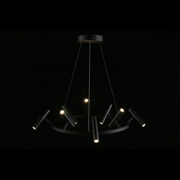 Подвесная светодиодная люстра Aployt Honor APL.067.03.40