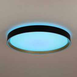 Потолочный светодиодный светильник Citilux Boss CL751451G