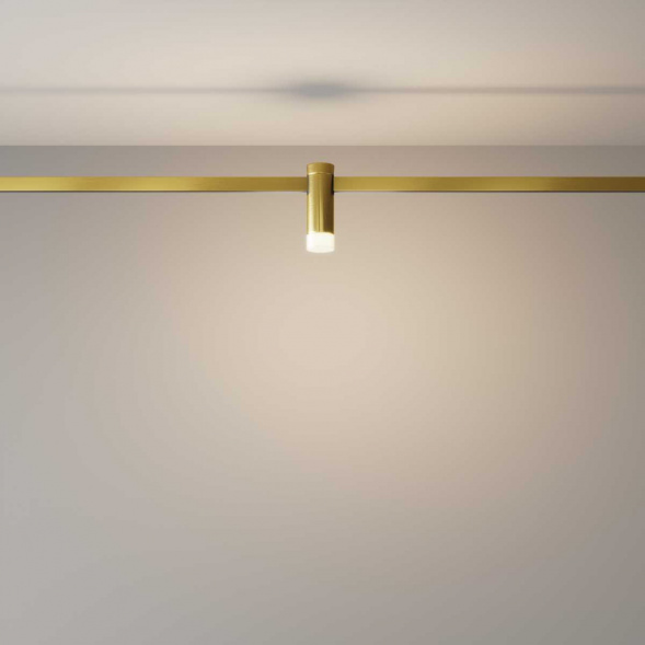 Трековый светильник Maytoni Technical TR145-1-3W3K-W-BS