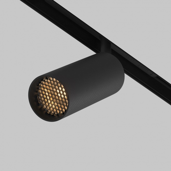 Трековый светодиодный светильник Maytoni Technical Artisan TR097-2-12W2.7K-M-BB