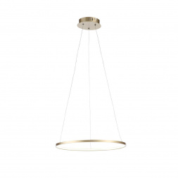 Подвесной светодиодный светильник ST Luce Erto SL904.203.01