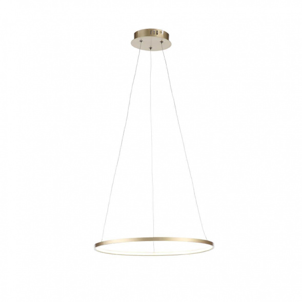 Подвесной светодиодный светильник ST Luce Erto SL904.203.01