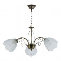 Подвесная люстра Reluce 06562-0.4-03