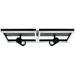 Потолочная светодиодная люстра Reluce 02457-0.3-02