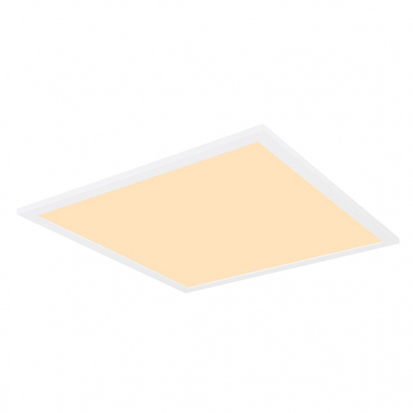 Настенно-потолочный светодиодный светильник Globo Sunao 41597D1