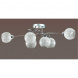 Потолочная люстра Lumion Moderni Ninette 3063/6C