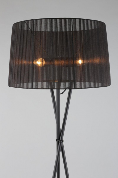 Торшер Omnilux Fascia OML-62915-03