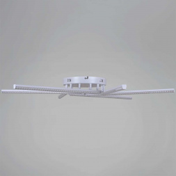 Светильник потолочный Reluce 06538-0.3-06 WH