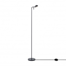 Напольный светильник Freya Modern FR5549FL-L5B